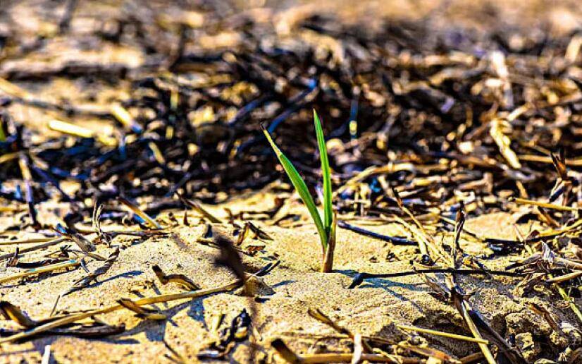 medias-uploads/ty-202601/240c432d4ee88e4a0410e2843f8ab692.jpg 43.jpg