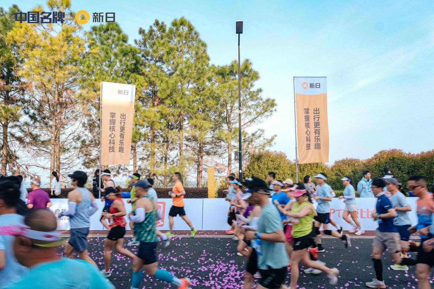 medias-uploads/ty-202601/79ac722611d9895fd9284daaddd60b9d.jpg medias-uploads/ty-202601/79ac722611d9895fd9284daaddd60b9d.jpg