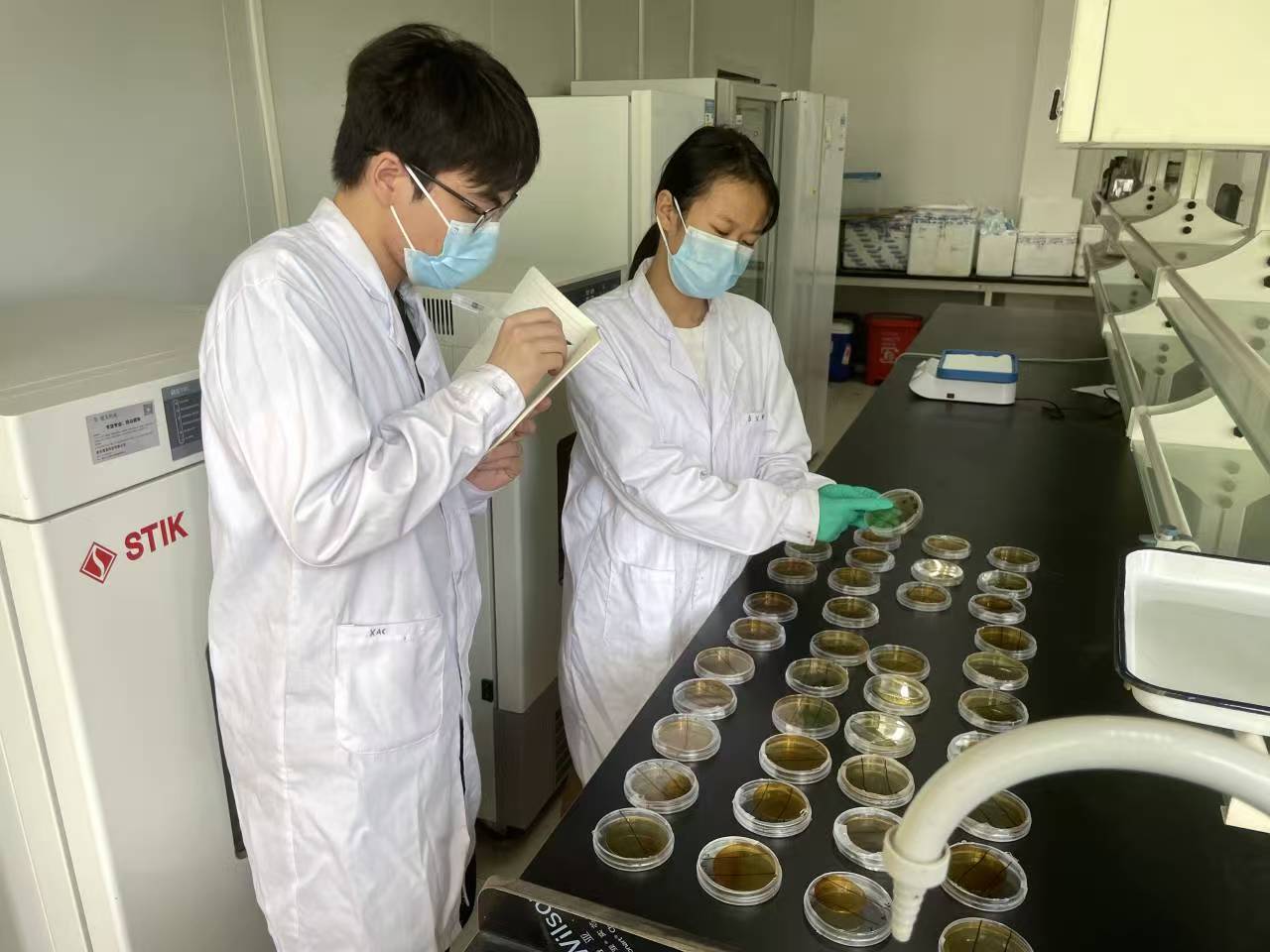 精准功效益生菌筛选评价与产品制备关键