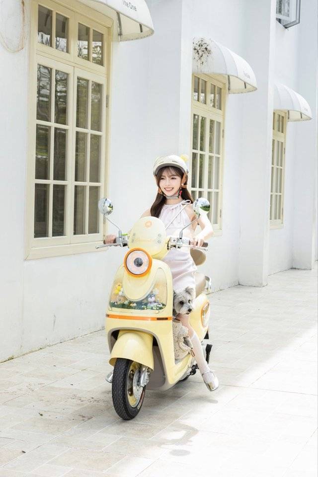 medias-uploads/ty-202606/a7976976d1a33305bae1ad7a55bda16c.jpg