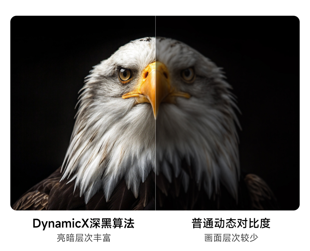 家用4K投影仪怎么选?当贝D7X Pro超亮版新品值得期待 
