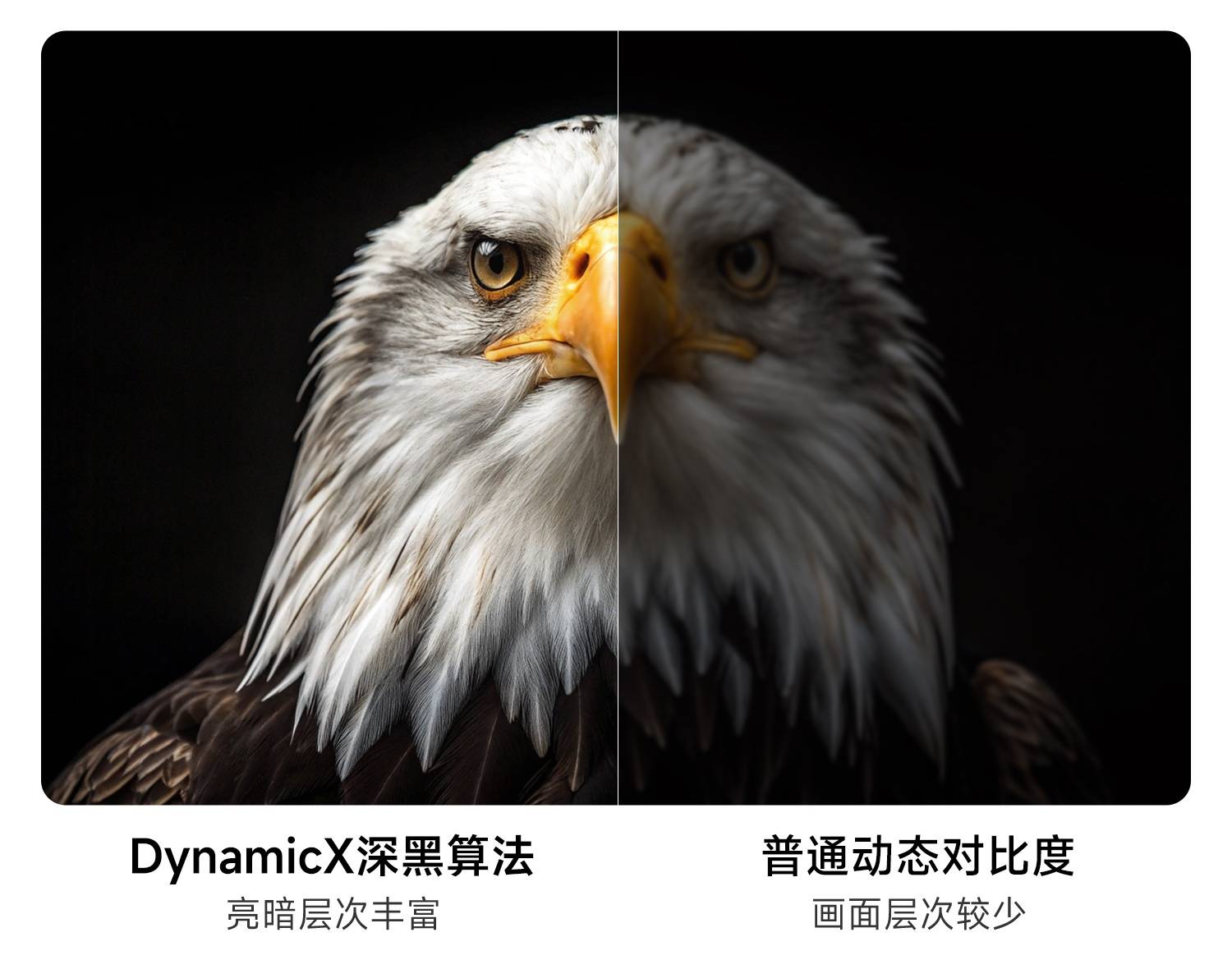 家用投影仪测评：当贝D7X Pro超亮版对比D7X Pro，对比度升级有多大